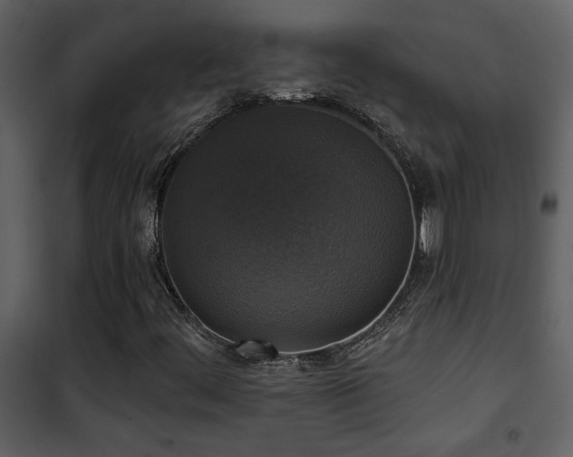X0000101971444200807181053