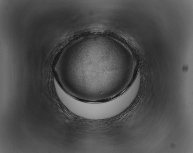 X0000101971445200807181053