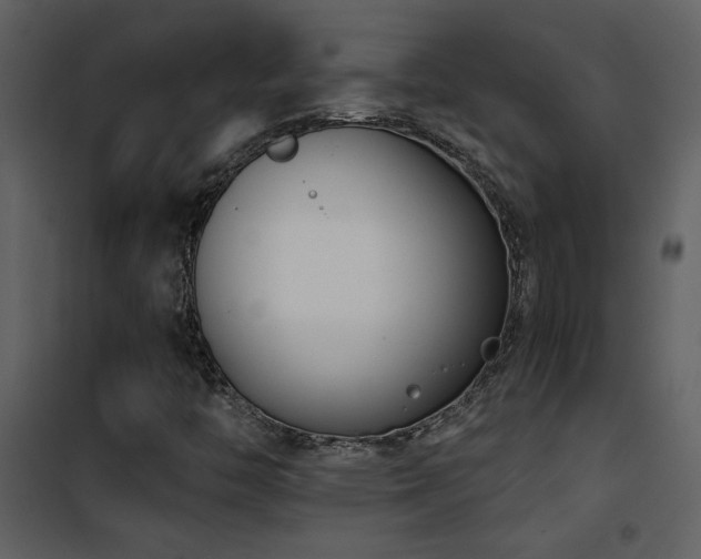 X0000101971446200807181053