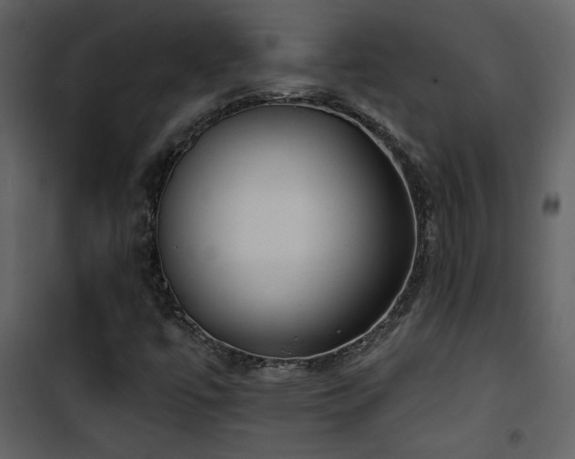 X0000101971447200807181053