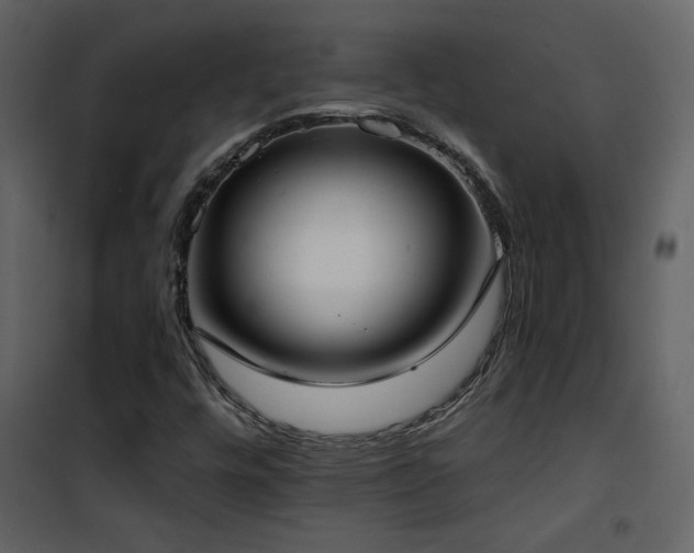 X0000101971448200807181053