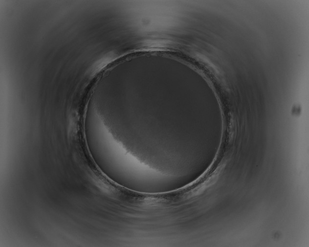 X0000101971449200807181053