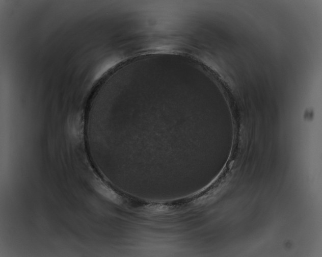 X0000101971450200807181053