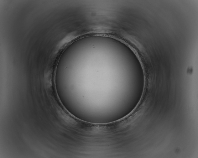 X0000101971451200807181053