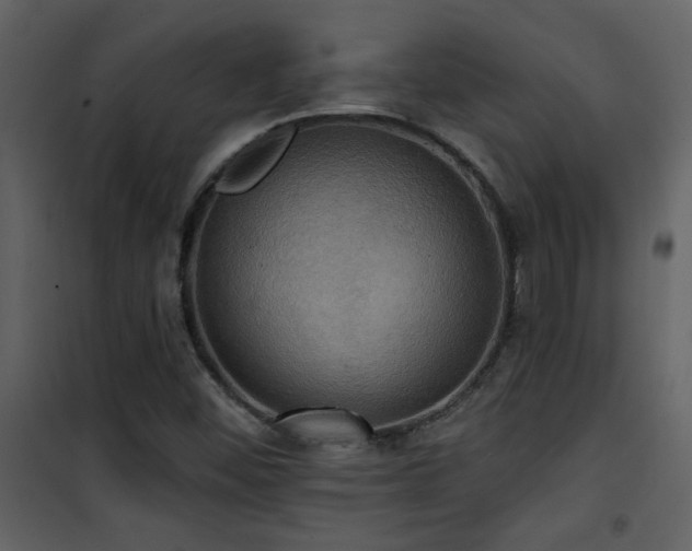 X0000101971452200807181053