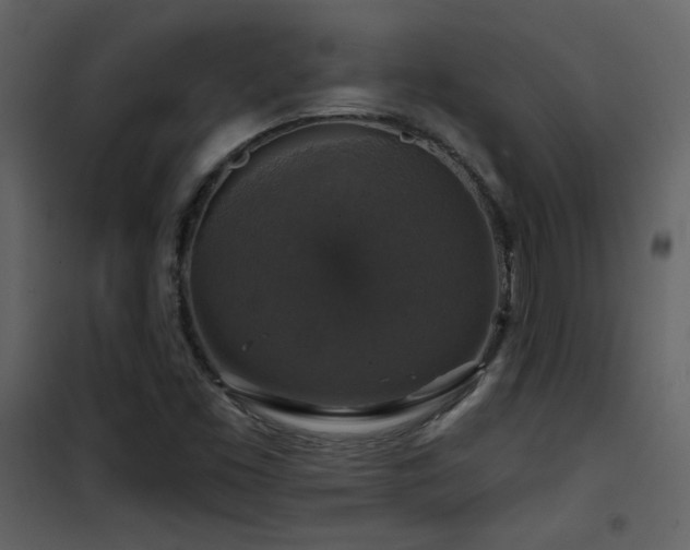 X0000101971453200807181053