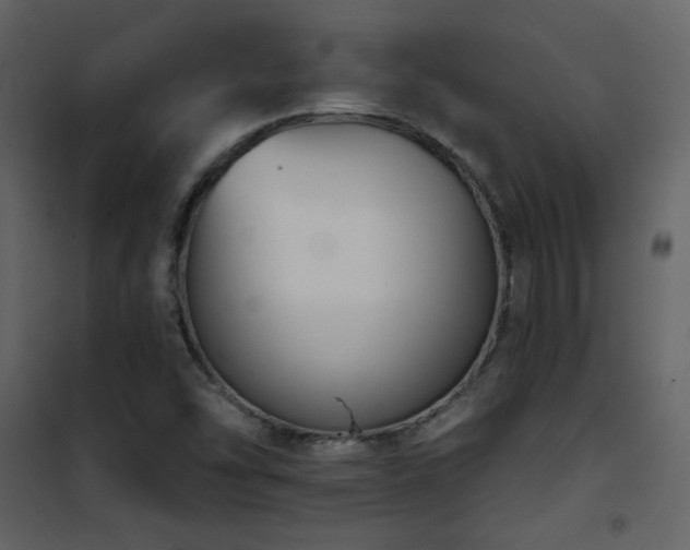X0000101971454200807181053