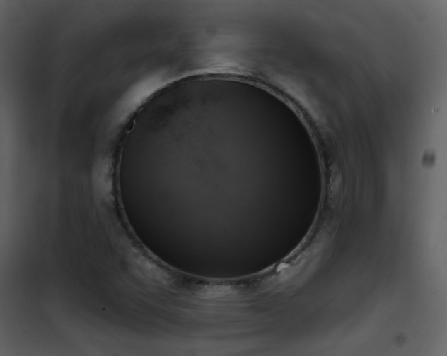 X0000101971455200807181053