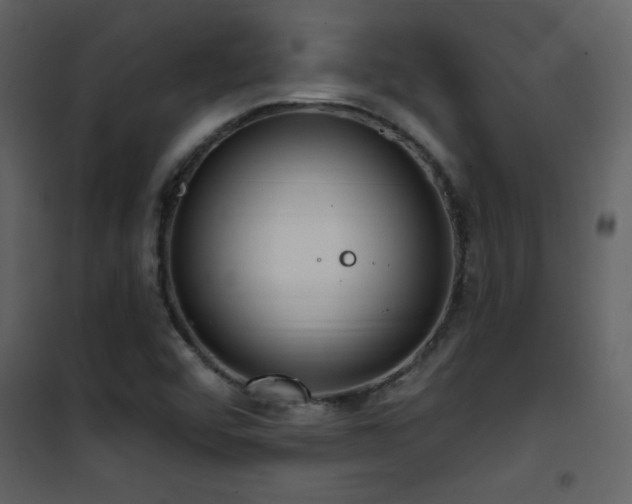 X0000101971456200807181053