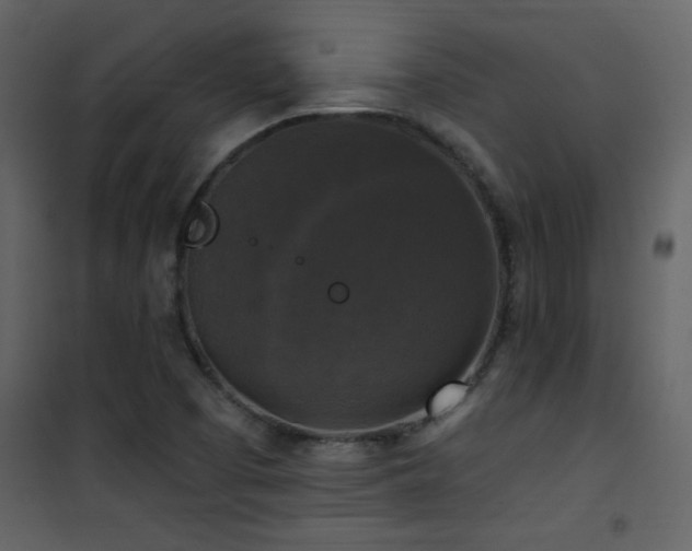 X0000101971457200807181053