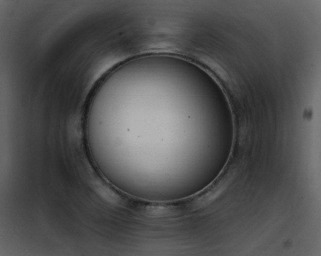 X0000101971458200807181053