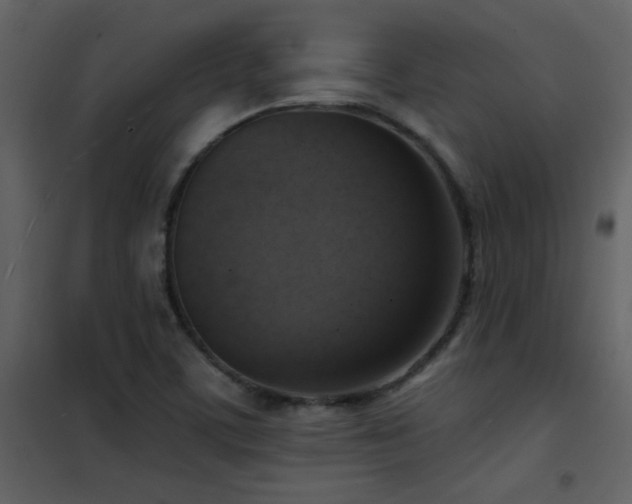 X0000101971459200807181053