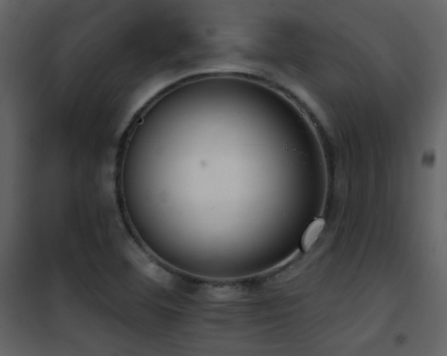 X0000101971460200807181053