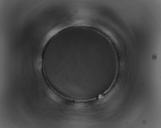 X0000101971461200807181053