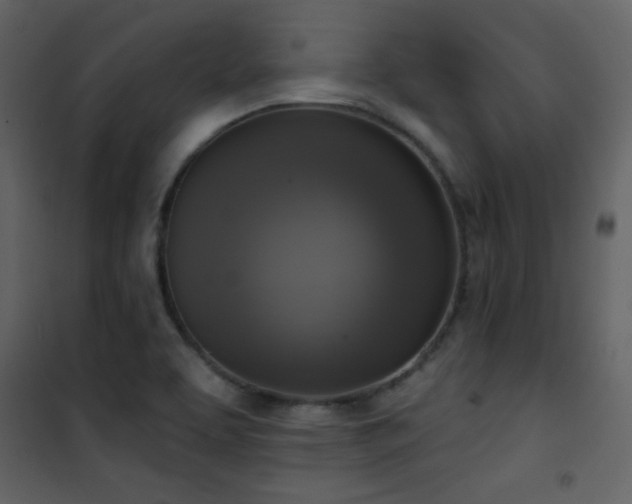 X0000101971463200807181053