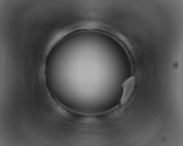 X0000101971464200807181053