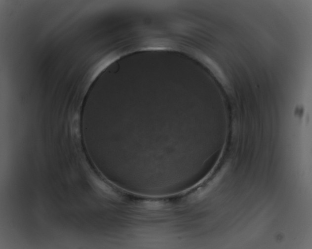 X0000101971465200807181053