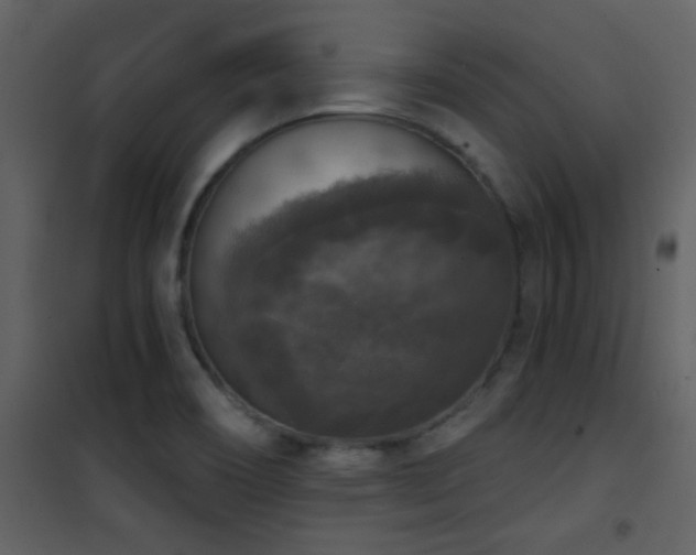 X0000101971466200807181053