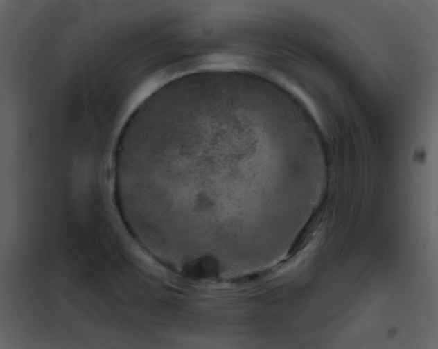X0000101971467200807181053