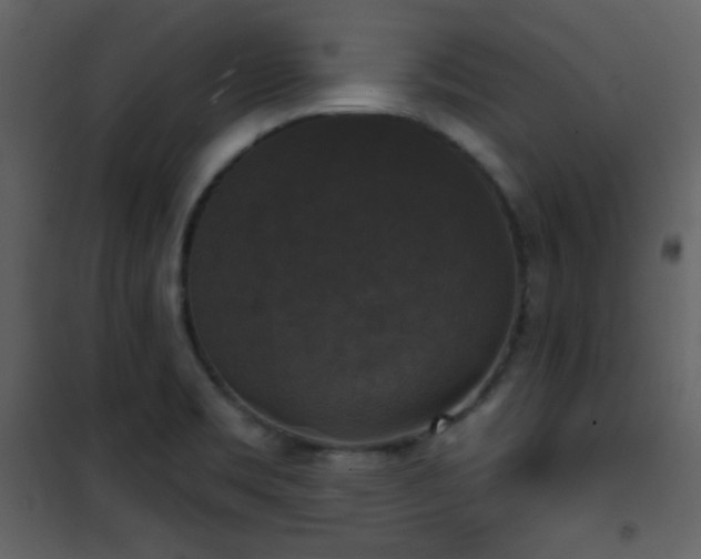 X0000101971469200807181053