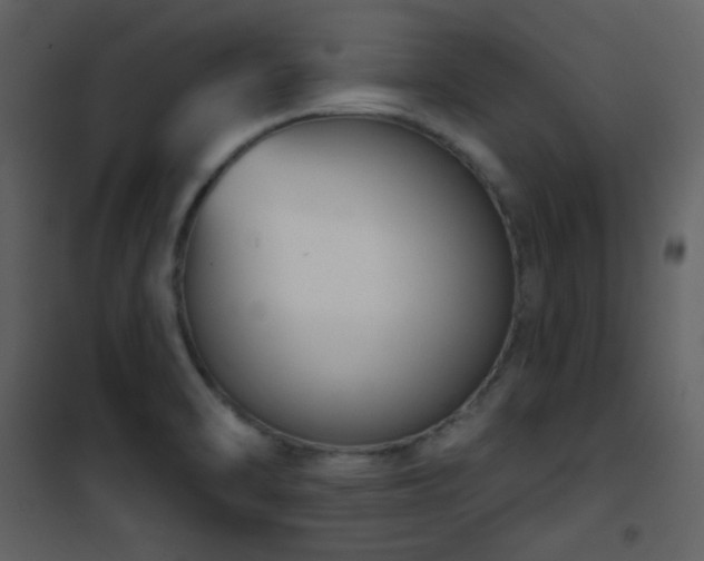 X0000101971470200807181053