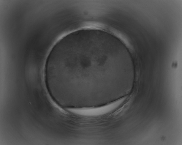 X0000101971471200807181053