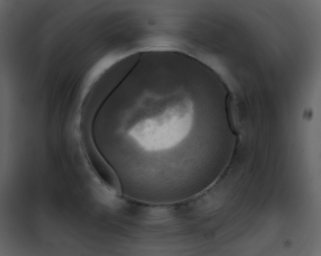X0000101971472200807181053