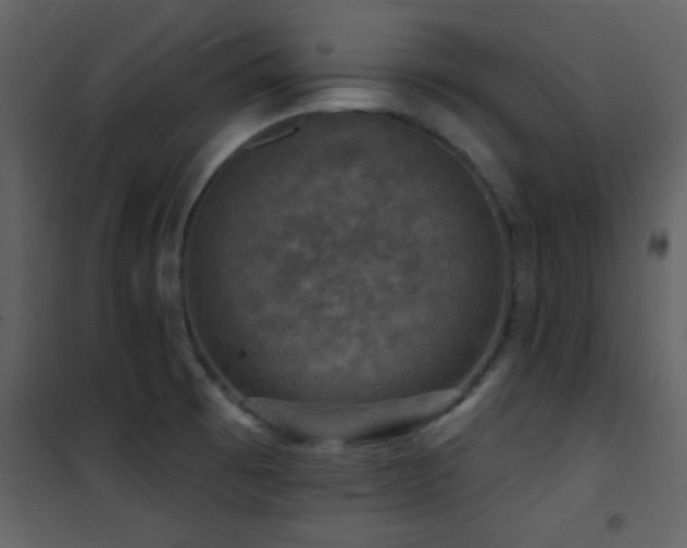 X0000101971473200807181053