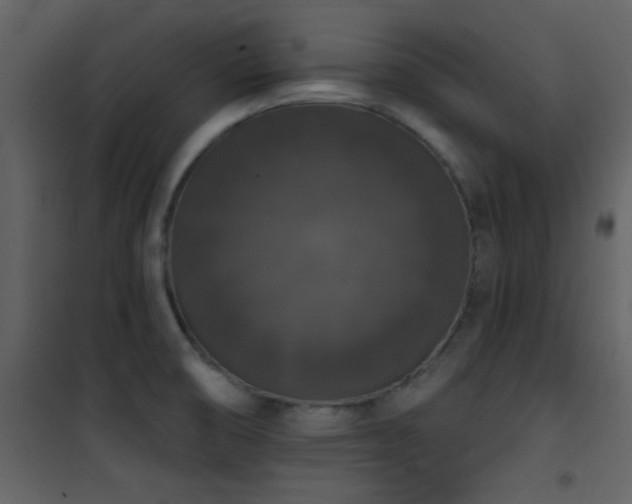 X0000101971474200807181053