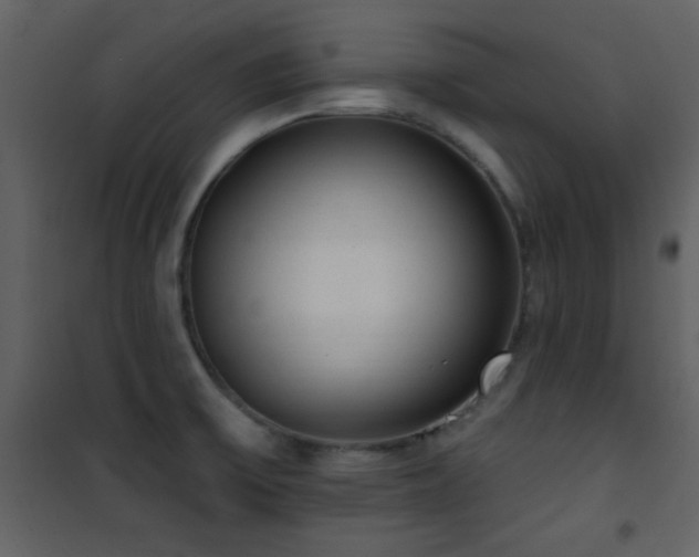 X0000101971475200807181053
