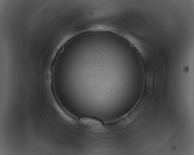 X0000101971476200807181053