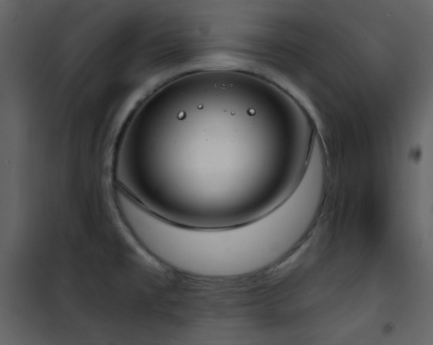 X0000101971477200807181053
