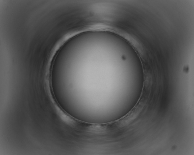 X0000101971478200807181053