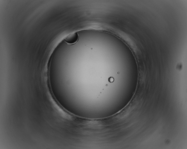 X0000101971479200807181053