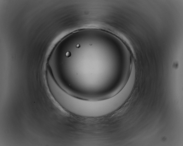 X0000101971480200807181053