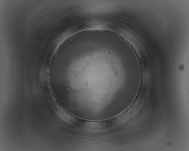 X0000101971481200807181052