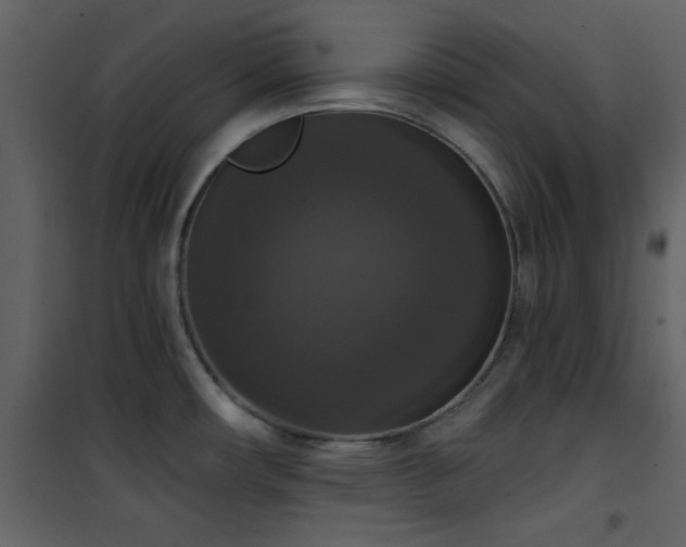 X0000101971482200807181052