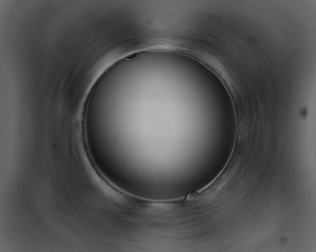 X0000101971483200807181052