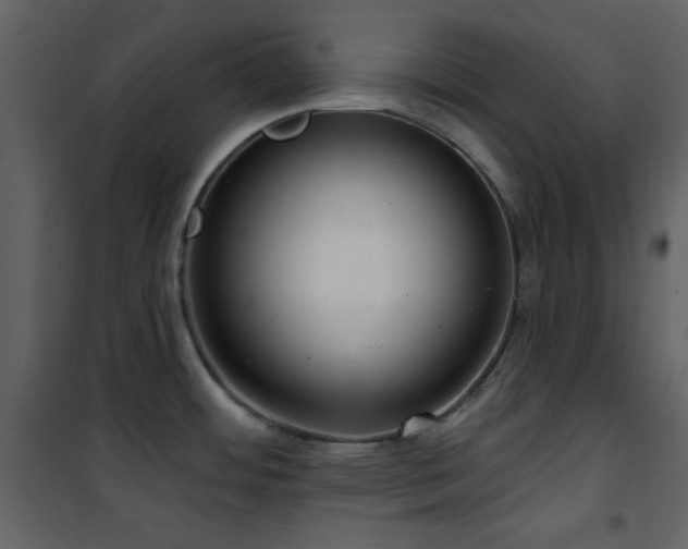 X0000101971484200807181052