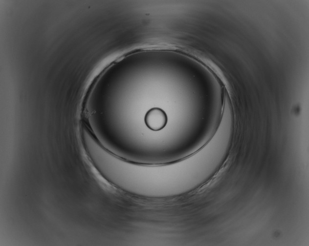 X0000101971485200807181052