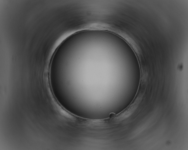 X0000101971486200807181052