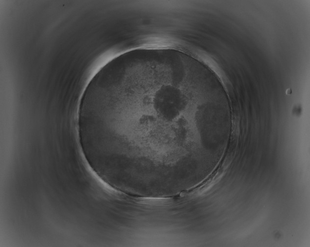 X0000101971487200807181052
