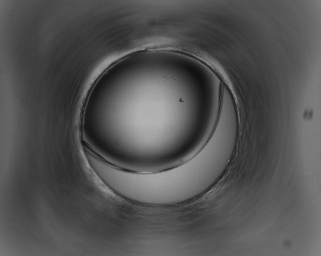 X0000101971488200807181052