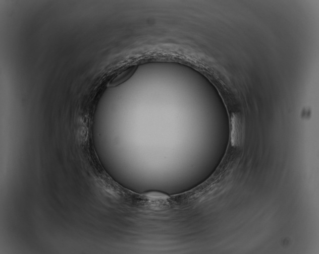 X0000101971491200807181052