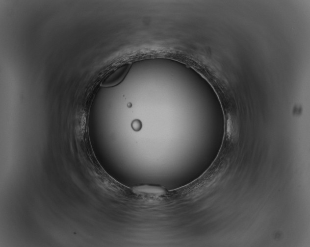 X0000101971492200807181052