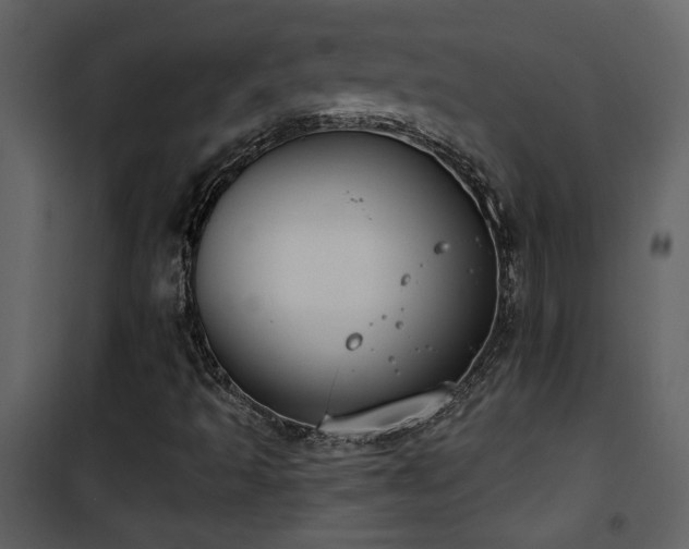 X0000101971493200807181052