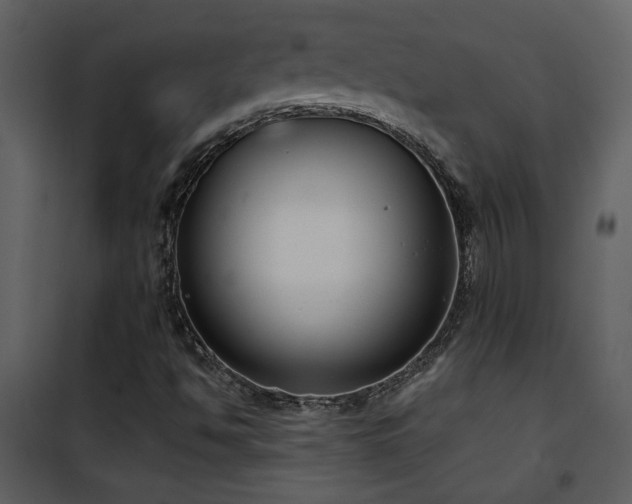 X0000101971494200807181052