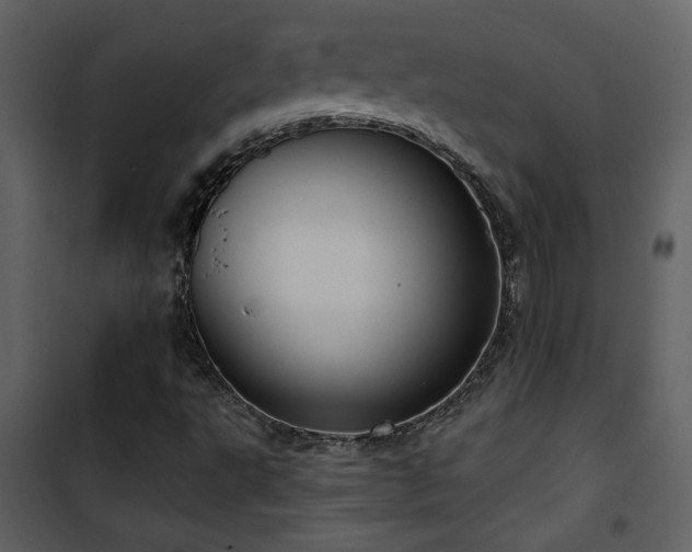 X0000101971495200807181052