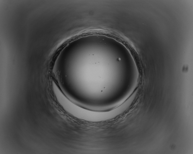 X0000101971496200807181052