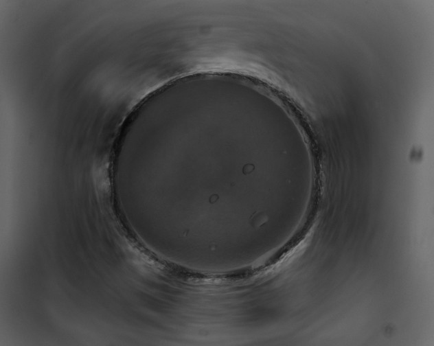 X0000101971497200807181052